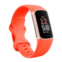 Fitbit Charge 6, Orange/Champagne Gold, Polleo Sport