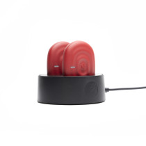 PowerDot Power Dock Charging Station, Theragun