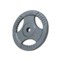 Gewichtescheibe 27 mm, 20 kg